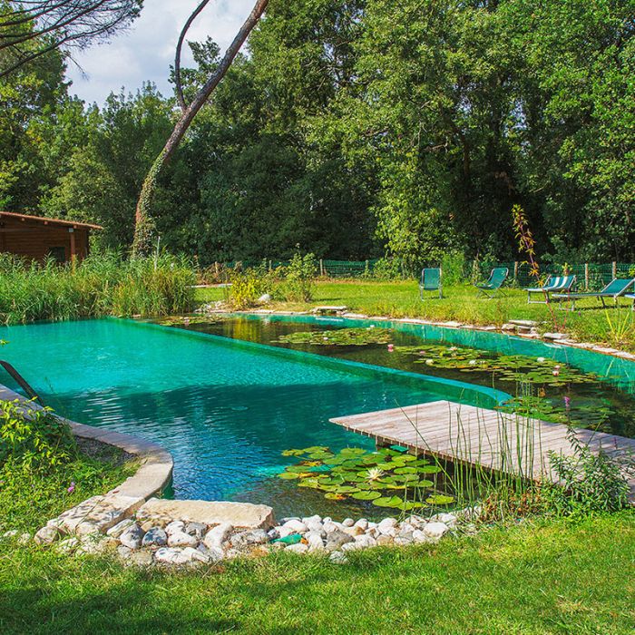 2 Molle A Gas Universali 350mm - Forza 50-1500N Per Auto, Mobili, Finestre - Foto 9