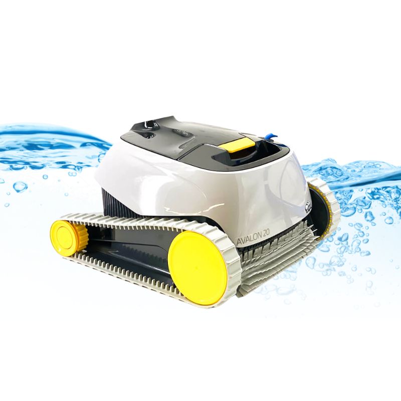 Dolphin Avalon
