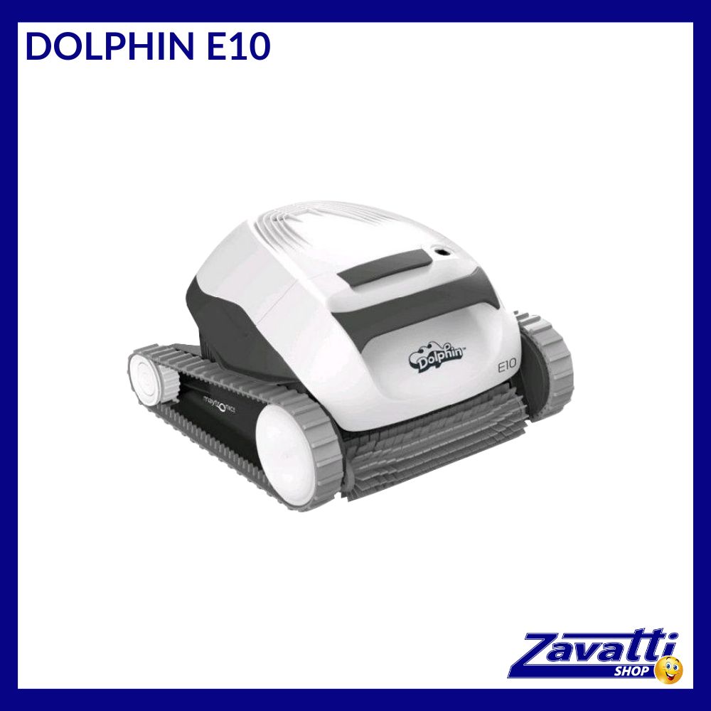Robot Dolphin E10