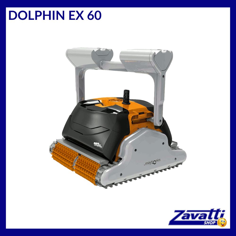 Robot Dolphin  Ex 60