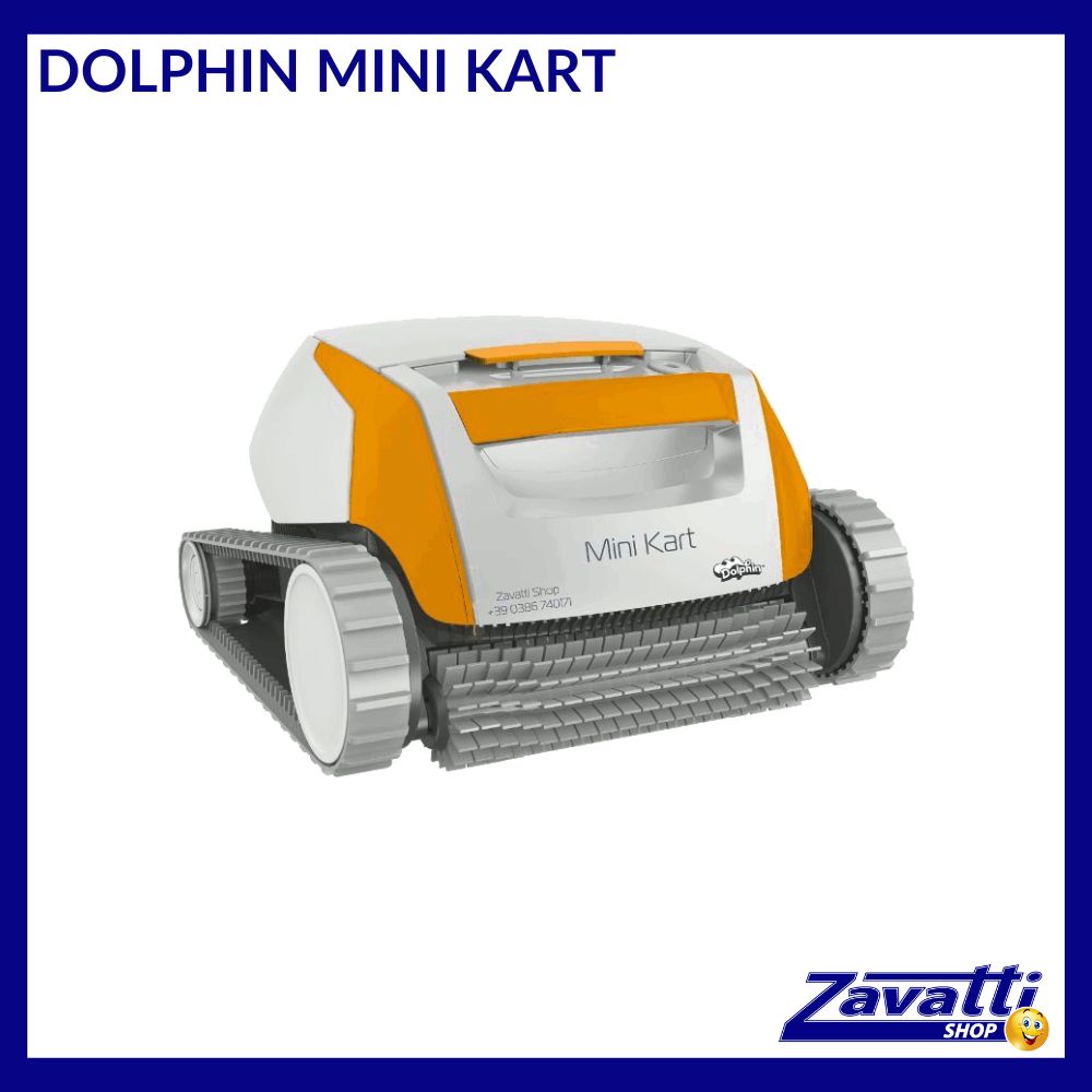 Robot Dolphin Mini Kart