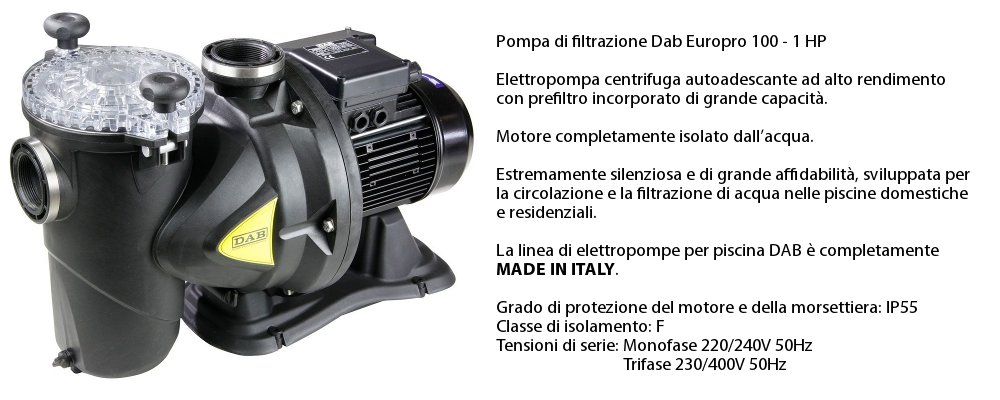 pompa di filtrazione Dab 1cv in dotazione con il kit accessori professional