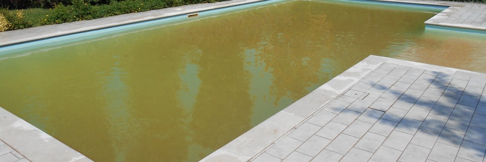 acqua marrone in piscina - perché succede e come risolvere il problema