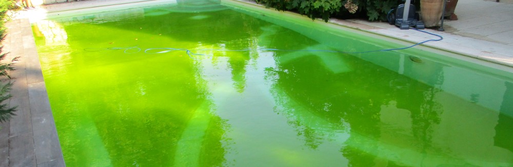 piscina con acqua verde - come mai? come risolvere il problema?