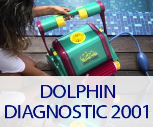 Centro assistenza robot Dolphin Diagnostic 2001