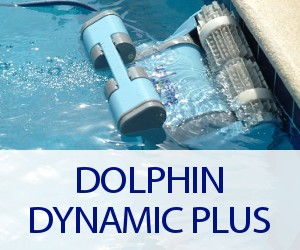 Assistenza e riparazioni con ricambi originali Dolphin Dynamic Plus