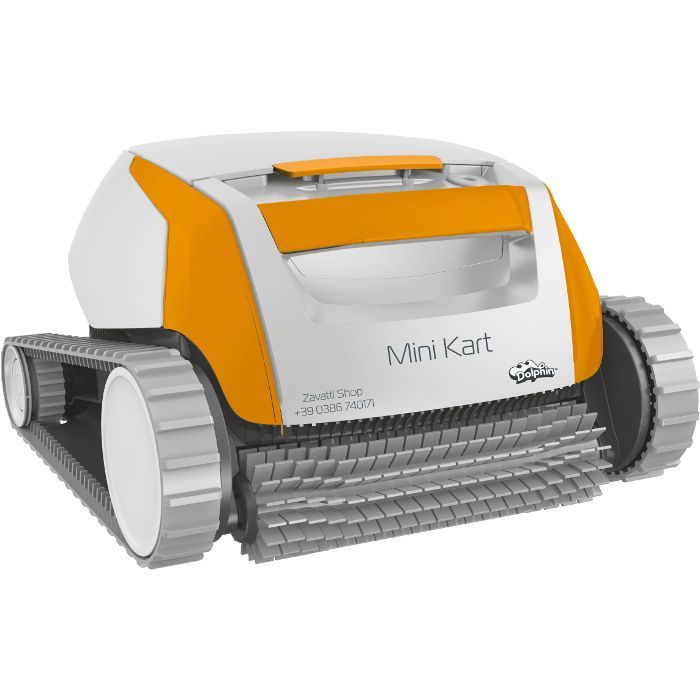 Mini kart