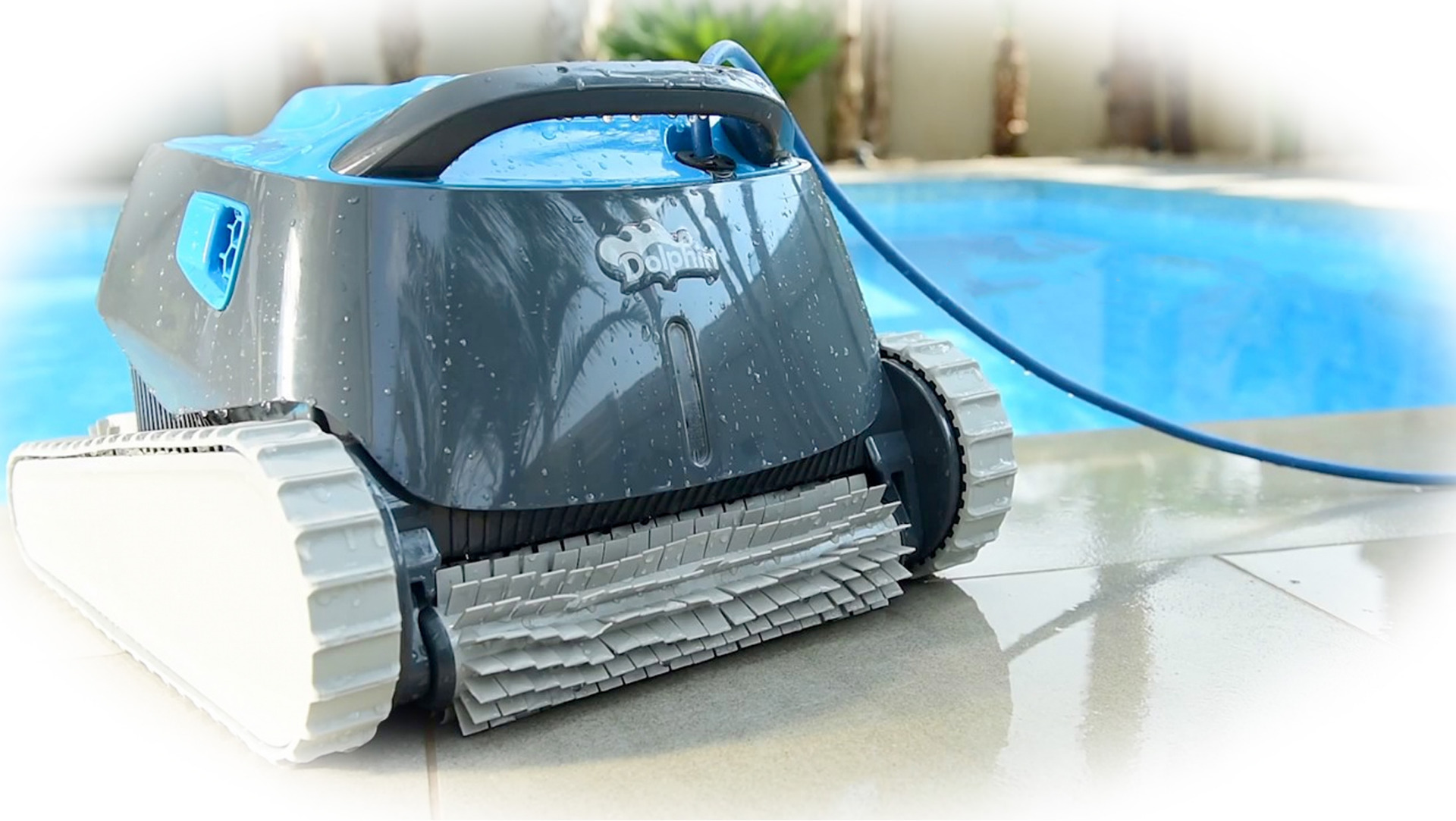 Robot limpiafondos piscina Dolphin Carrera