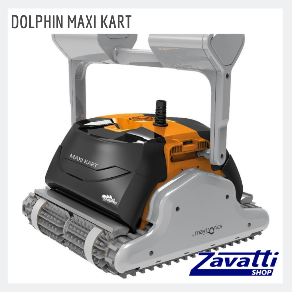 Robot Dolphin Maxi Kart